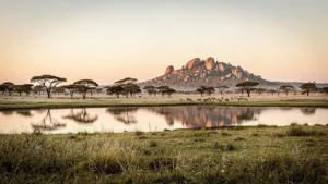 Vue panoramique d'une mosaïque d'écosystèmes africains avec savane, point d'eau et kopje rocheux au lever du soleil