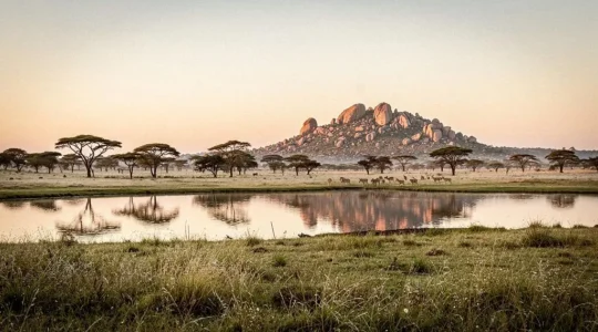 Vue panoramique d'une mosaïque d'écosystèmes africains avec savane, point d'eau et kopje rocheux au lever du soleil